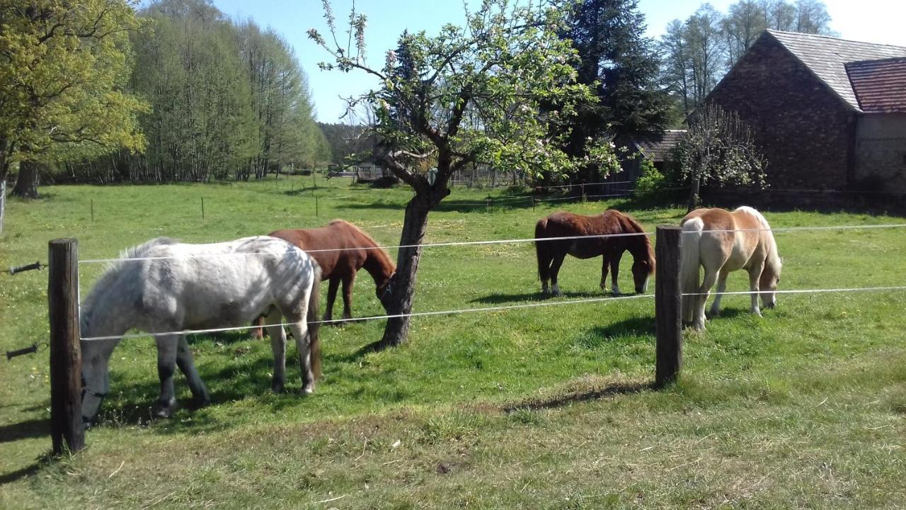 Ferienwohnung Wildau-Wentdorf Drahnsdorf Luaran gambar